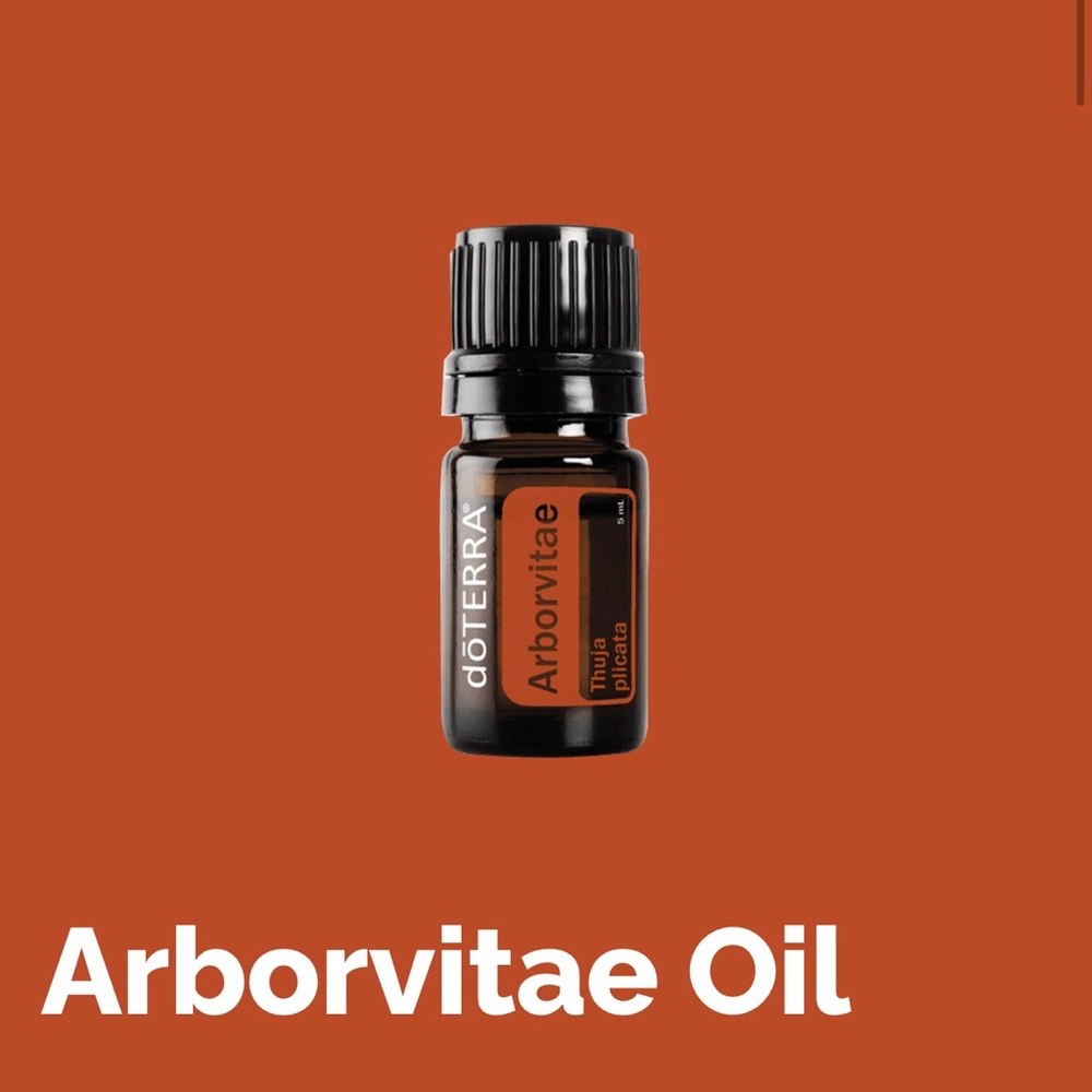 Doterra Arborvitae essential oil, 5mL